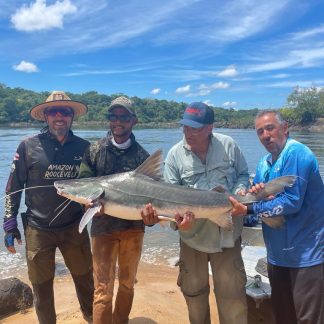 Amazonas, Região Sul do Estado